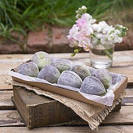 《灵魂之桥》续作《OPUS：龙脉常歌》公开男主角短漫 发售日9月1日